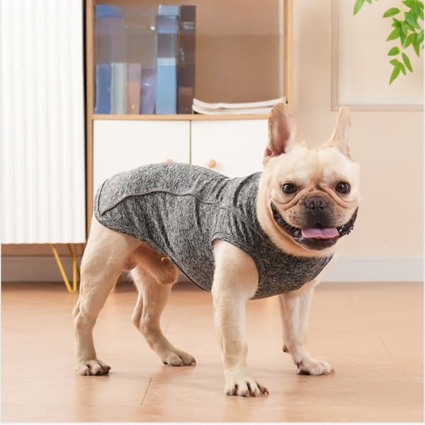 Reflekterende selvlysende polyester hundevest med D-ring og linehul – ærmeløs nattevest til gåture S S