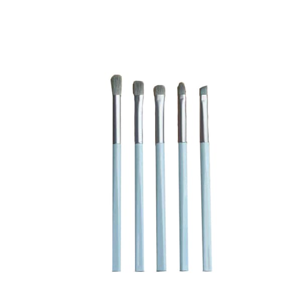 Viktigt 5-delars sminkborstset med resefodral LightGreen LightGreen