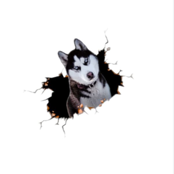 Luova 3D Husky -autotarra, suuri koko (2 kpl)