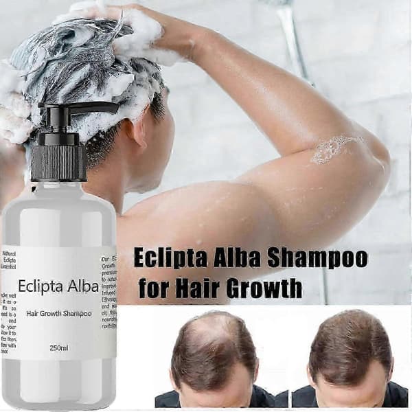 Eclipta Alba för hårväxt, Eclipta Alba schampo, Eclipta Alba olja, Eclipta Alba hårväxtschampo, ekologisk Bhringraj olja Eclipta Alba hårväxt