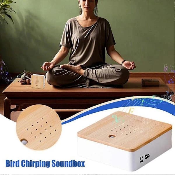 Birdsong Box with Motion Sensor, a Singing Bird Box.
