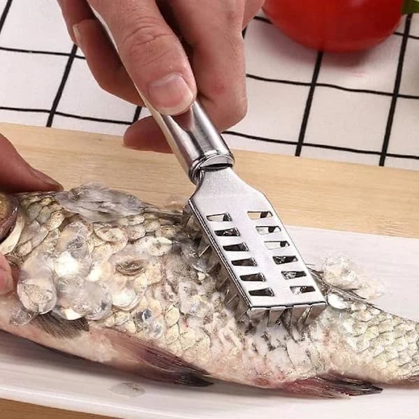 Stainless Steel Fish Scaler - Comfortable Grip, Easily Removes Fish Scales, Kitchen Tool
