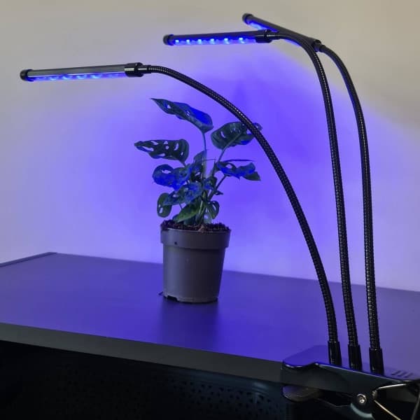 Adjustable Grow Light - LED, Timer Black_Special Gift