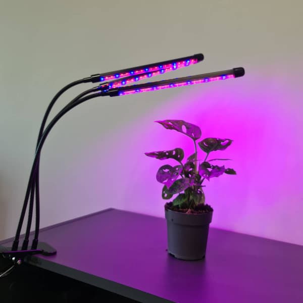 Adjustable Grow Light - LED, Timer Black_Special Gift