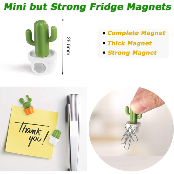 Starka kylskåpsmagneter, 3D mini kylskåpsmagneter, 12