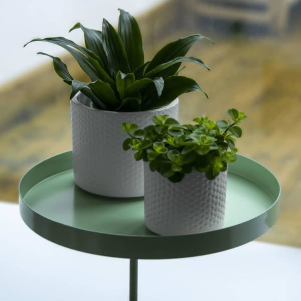 Esschert Design Växtbricka med klämma rund grön L Grön