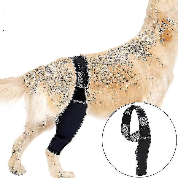 Dog Knee Brace for ACL, Knee Cap Dislocation, Arthritis - Provides Extra Support, Keeps Joint Warm - Reduces Pain L