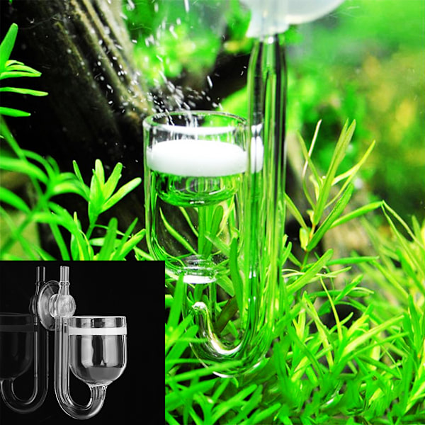 CO2 Højtransparent Glasraffinator Diffusor Stor Ret Rør til Akvarium Vandplanter Fisktank