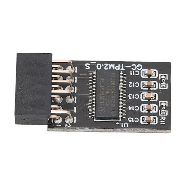 TPM 2.0 -salaussuojausmoduuli GIGABYTE 12Pin LPC-liitäntään Korkean turvallisuuden moduuli etäkorttien salaukseen