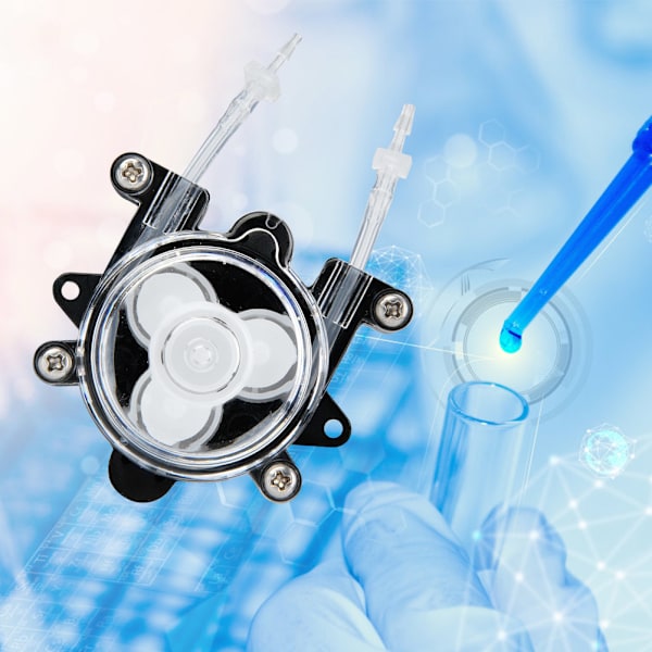 Mini peristaltisk pump av hög kvalitet för laboratoriebioteknik G528 DC12V (Typ A)
