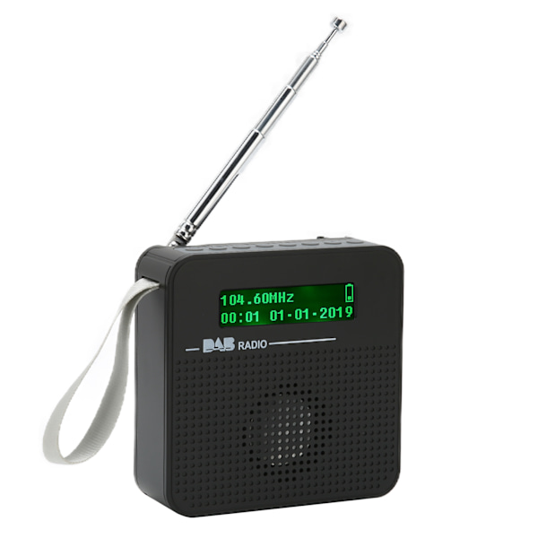 Digital Radio Bärbar Bluetooth FM-radio med DAB/DAB för promenader utomhus