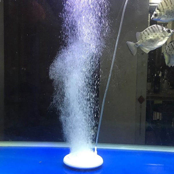 Akvarium NM Luftboblesten Plade Disk Fiskekum Hydroponisk Pumpe Lydløs Luftsten Diffusor Uden Luftledning
