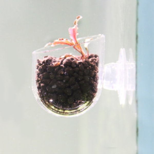 Transparent Akvarium Rød Orm Foder Sugkop Fisk Foderkop Beholder Akryl Crack Cup