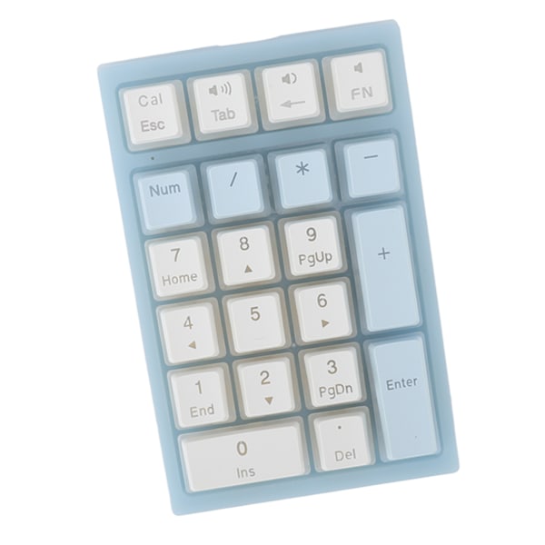 21 Tangenters Numerisk Knappsats RGB Bakgrundsbelyst Ergonomisk Liten Mekanisk Numpad Numeriskt Tangentbord för Laptop Dator Blå och Vit