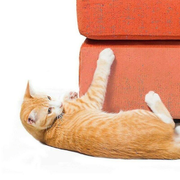 Anti-scratch träningstejp för husdjur för soffa och dörr - 6,35 cm x 300 cm