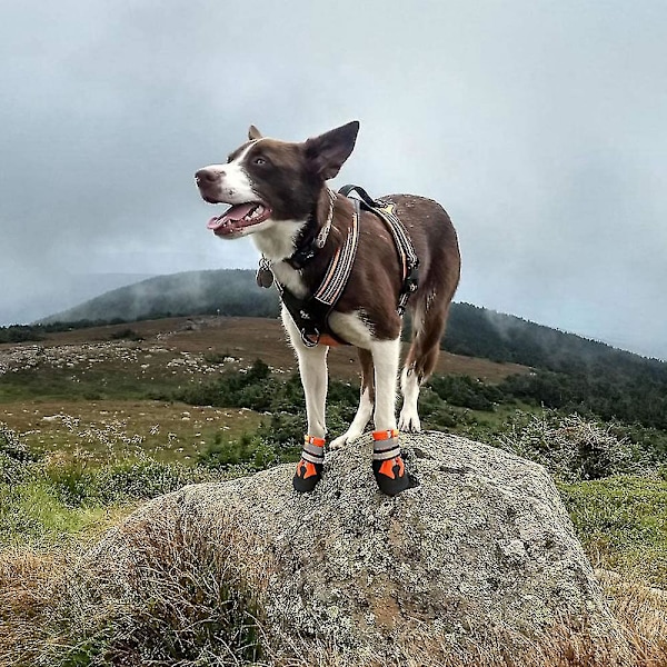 Halkskyddade vattentäta hundstövlar XL - Orange