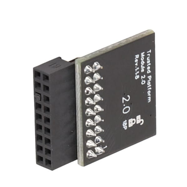 TPM 2.0 krypteringssikkerhetsmodul 18pin LPC-grensesnitt Krypteringssikkerhetsmodul for Asrock 18pin SPI TPM 2.0