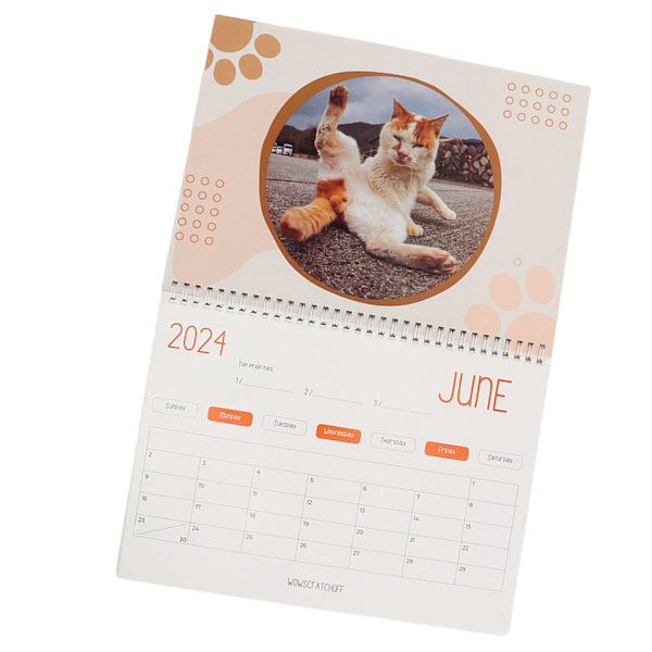 Kattbollar 2024-kalender 12 månaders roliga kattbollar-kalender Katthålskalender för kattälskare