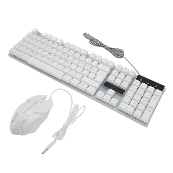 Tangentbord och mus Combo 104 nycklar RGB Bakgrundsbelyst USB Kabelanslutning Tangentbord Mus Set för hemmaspelkontor