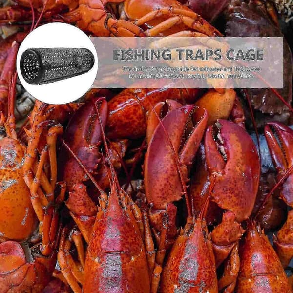 Large eel trap fish catching cage crayfish net reusable fish plastic trap (BT)