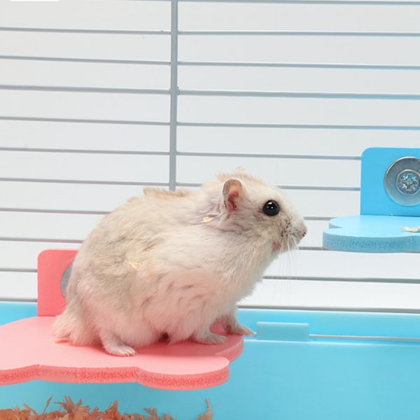 Hamster Papegoja Dubbelskruv Ståplattform Stativ Fågelklättring Slipburleksak (rosa)