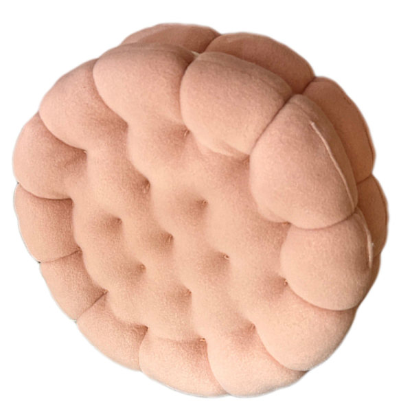 Cookie Kudde Söt Mjuk Andas PP Bomull Fyllning Sittdyna för sovsal Sovrum Sängbord 450g Strawberry Pink