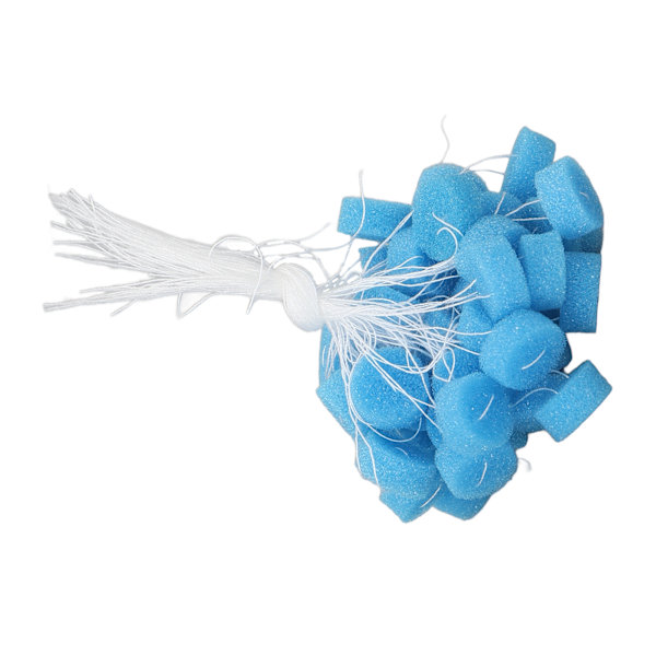 50 st Hörapparat Öronskydd Bärbar Flexibel Sponge Ear Plug Hörapparattillbehör för ElderlyXL Blå