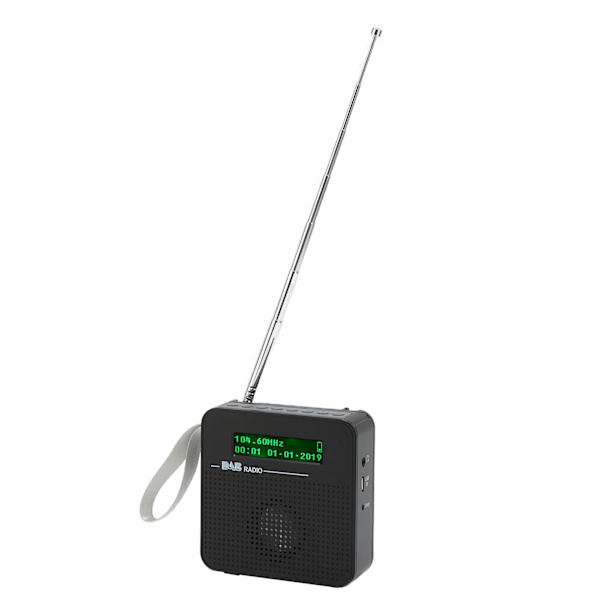 Digital Radio Bærbar Bluetooth FM-radio med DAB/DAB+ for turer utendørs