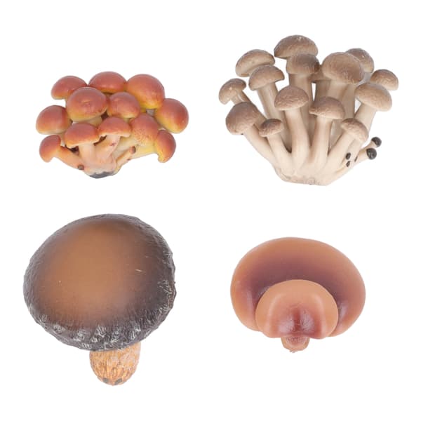 4-pack Miniatyr Svampmodell Set Hög Simulation Svampfigurer Dekoration för Utbildning Typ 1
