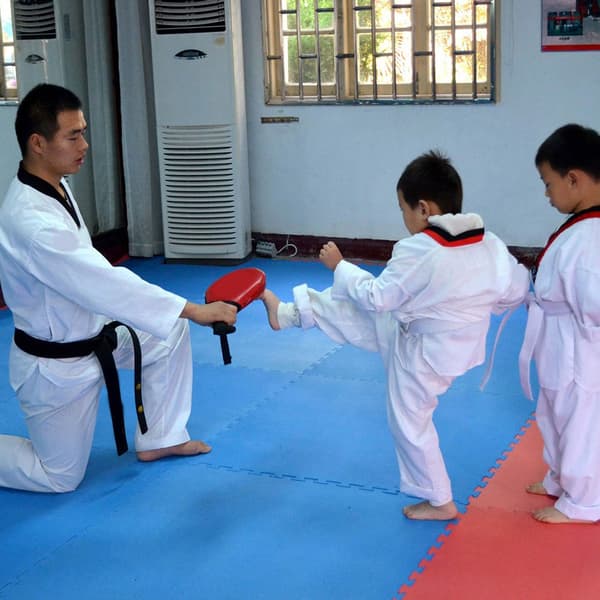 Taekwondo Double Kick Train Strike Pad Target Tae Kwon Do Karate Kickboxning