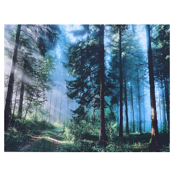 Veggteppe Landskapsmønster Hengeteppe Soverom Stue Gang Dekorasjon 150x100cm
