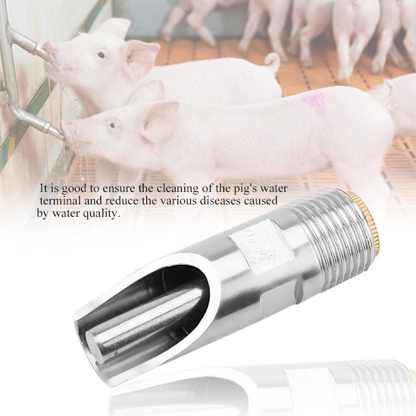 5 st Rostfritt stål Automatisk Grisnipplar Drinker Waterer Koppar Cap Andnäbb