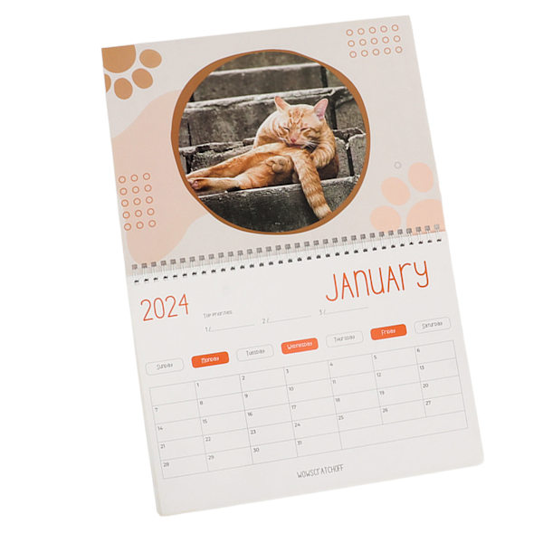 Kattbollar 2024-kalender 12 månaders roliga kattbollar-kalender Katthålskalender för kattälskare