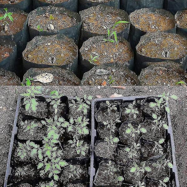 【NX】500 pcs Nursery Pot Plastic Plant Growing Container 8cmx8cm - Aespa(FQ)