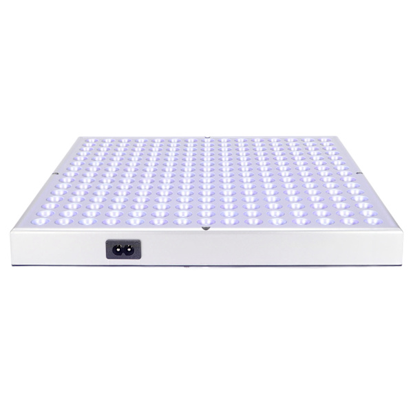 Blått lys terapi lampe Profesjonell baby Gulsott Sor Spot Fade Lampe for hjemmebehandling Healing 110-240V US Plugg