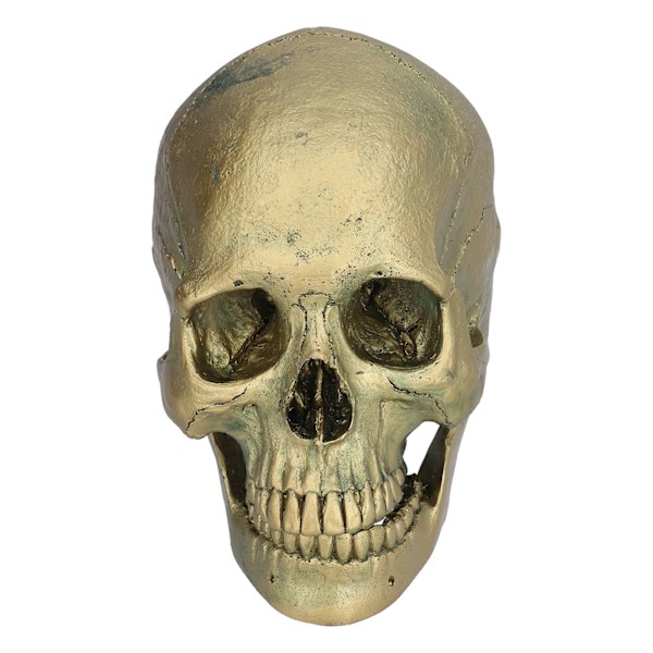 Ihmiskallon Koristeet Hartsi Opetus Kallo Malli Halloween Juhlan Koristeluun
