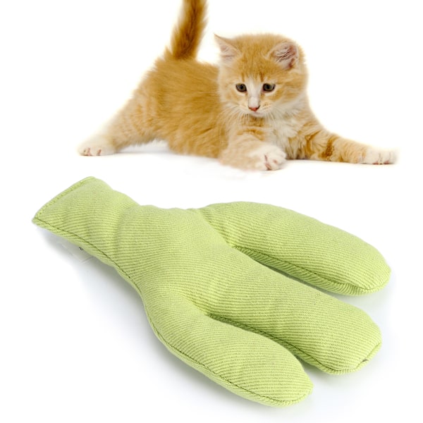 Canvas Pet Cat Simulering Söt form Kattmynta Tänder Rengöring Slipning Rolig Träning Interaktiv ToyCactus