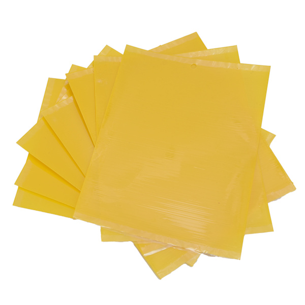 20st 20x15cm insektsfälla Ej giftig effektiv PVC gul flugfälla för växthusträdgård