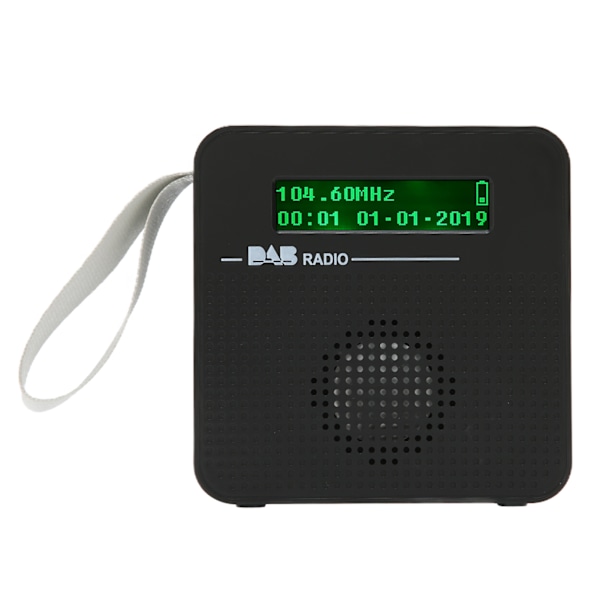 Digital Radio Bærbar Bluetooth FM-radio med DAB/DAB+ for turer utendørs