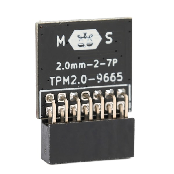 TPM 2.0 Modul LPC 14 Pin Tpm 2.0 Fjernkort Kryptering Sikkerhetsmodul for MSI for Windows