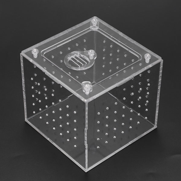 1st Reptil Terrarium Matare Ormar Spindel Ödla Avel Akryl Box Case Insekter Hus