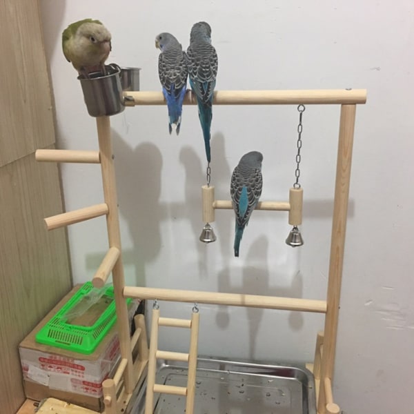 Dubbla lager träfågelställ inklusive stege Swing Bell Bird Athletic Toy Stand