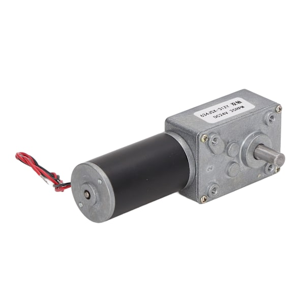 Gearmotor DC 24V Hastighedsreduktion Selvspærrende Dobbelaksel Reversibel Snekkegear Motor 20 RPM