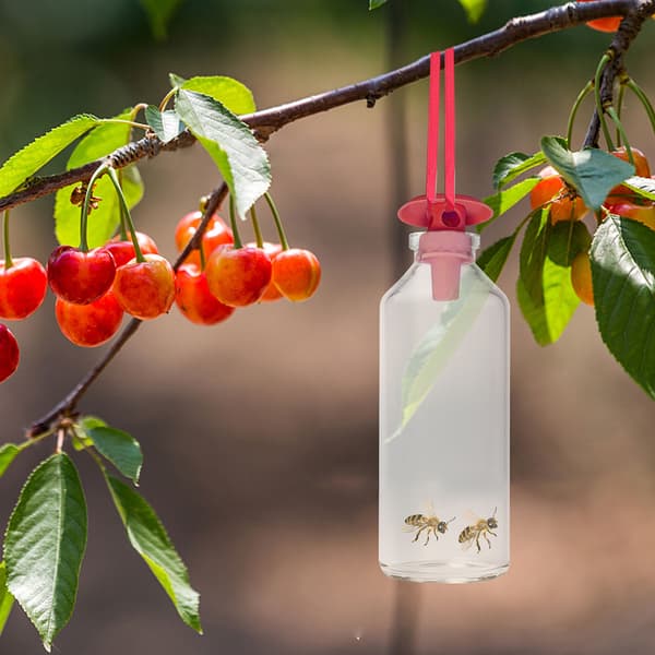 Getingfälla för Utomhus Hängande Bifångst Återanvändbar Flygande Insektsfälla för Utomhus