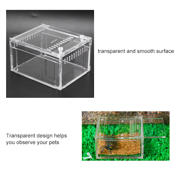 Akryl Transparent Flamer Reptiler Insektstank Uppfödningslåda Husdjur Ormar Sköldpaddor Terrarium