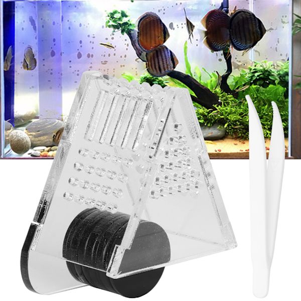 Transparent Akvarium Fiske Tank Kegle Foder Akryl Foderbeholder Magnet Sug