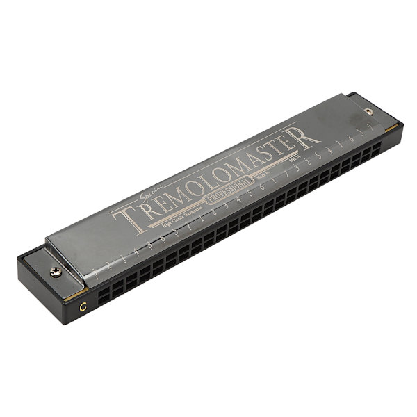 Profesjonelt munnspill Diatonisk Harpe Barnegave Polyfonisk C-tone 24-hull (blank svart)