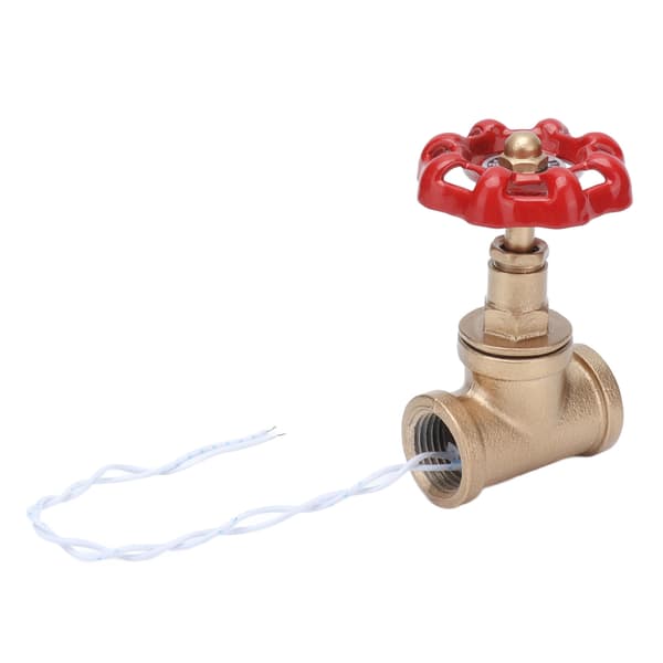 G1/2 Industriell Lysbryter Vannrør Lysbryter Steampunk Lampebryter med Ledning 12V/120V