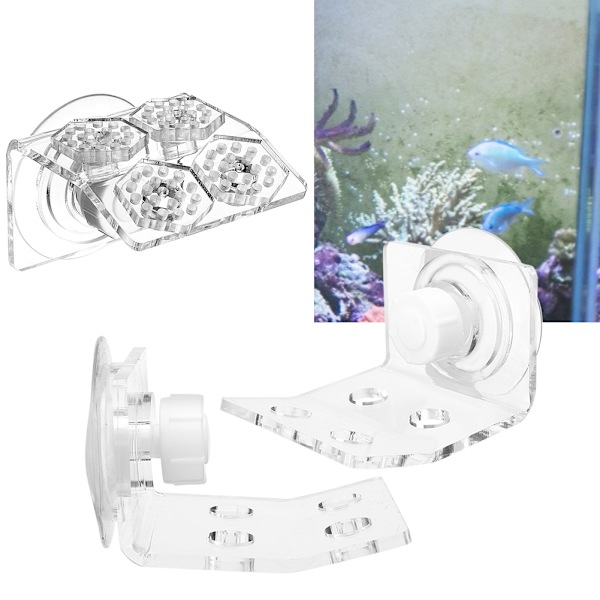 2 stk akvarium 4 hull frontlasting Bøyning korall SPS-knapp Amputasjonsfeste Base opp og ned Plass Landskapsarkitektur