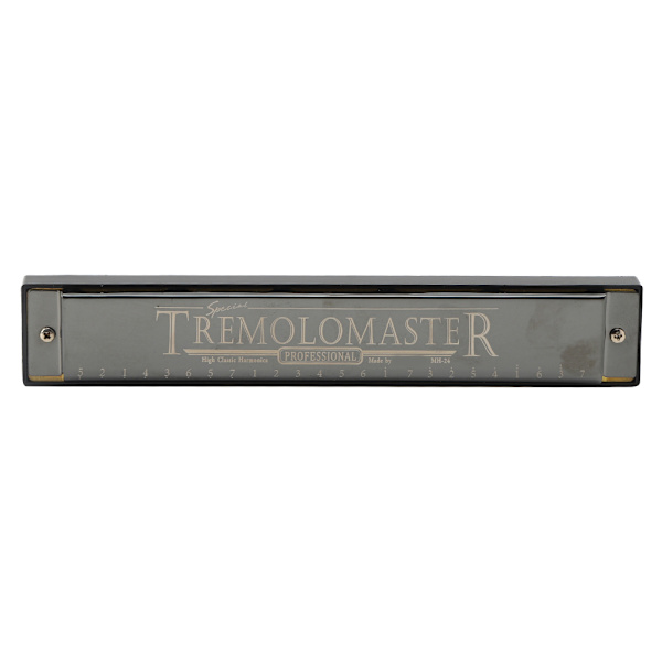 Profesjonelt munnspill Diatonisk Harpe Barnegave Polyfonisk C-tone 24-hull (blank svart)